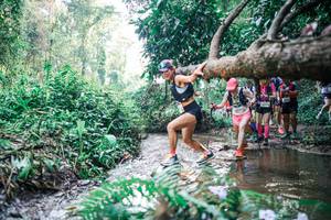 BIB: 
                            <button type="button" onclick="openModal(25453937)" class="btn btn-primary btn-sm float-right btn-popup" data-toggle="modal" data-target=".modal-high-quality">
                        <i class="fas fa-shopping-cart"></i> Add to Cart
                    </button>
                                            <button type="button" onclick="isThisMe(25453937, true)" class="btn btn-success btn-sm float-right btn-popup btn-isme hidden" data-toggle="tooltip" data-placement="bottom" title="นี่คือรูปของคุณใช่ไหม คลิกที่นี่เพื่อเอาเข้าอัลบั้ม">
                        <i class="fas fa-plus"></i> Add to album
                    </button>
                    <button type="button" onclick="isThisMe(25453937, false)" class="btn btn-warning btn-sm float-right btn-popup btn-isnotme hidden">
                        <i class="fas fa-ban"></i> Remove from album
                    </button>